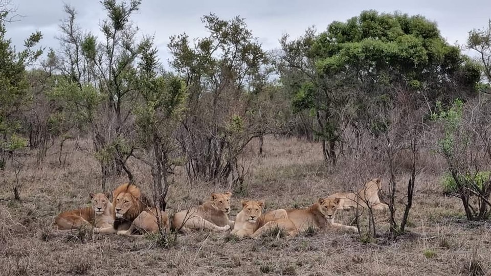 AFRIQUE DU SUD -